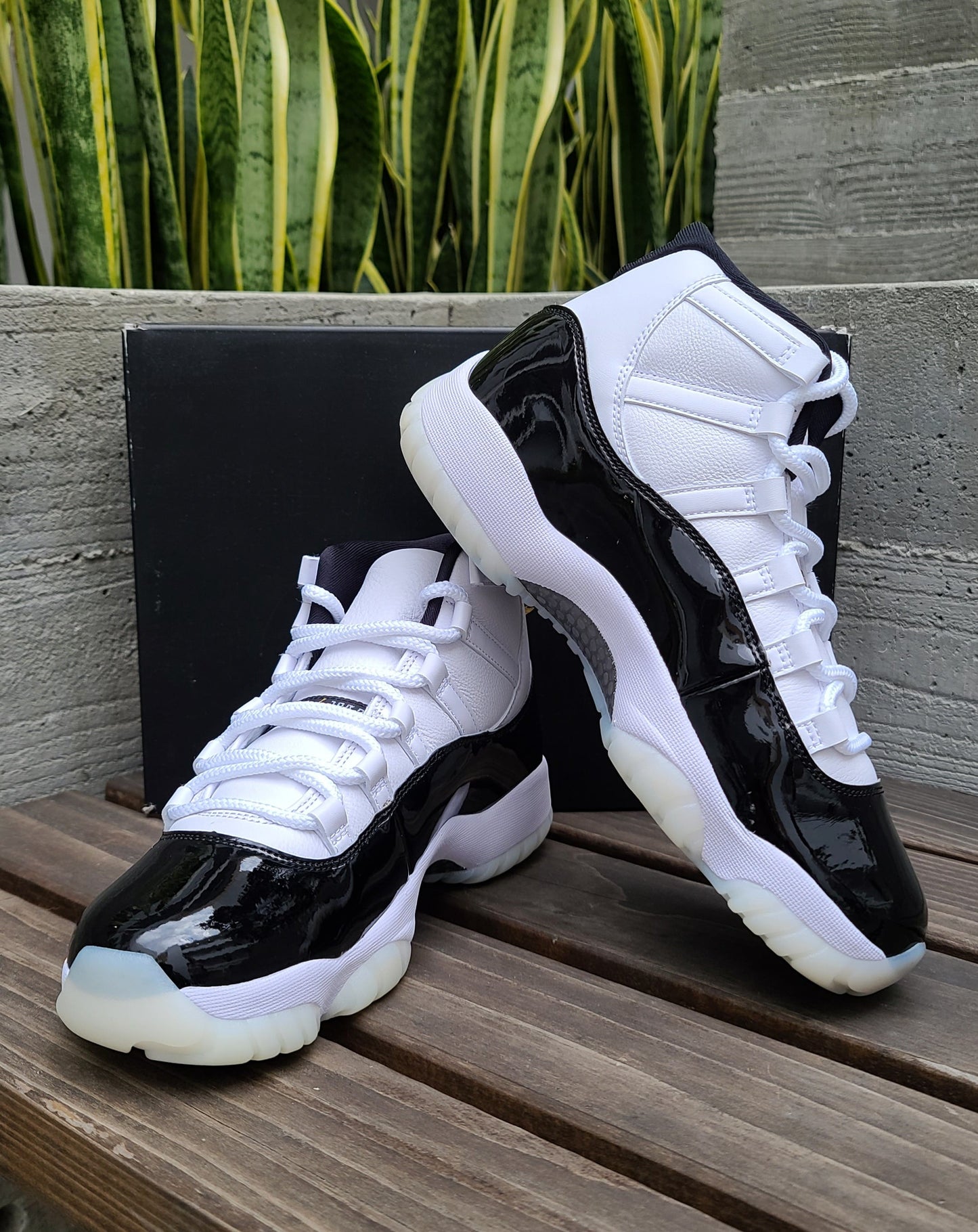 Air Jordan 11 Retro 'Gratitud'